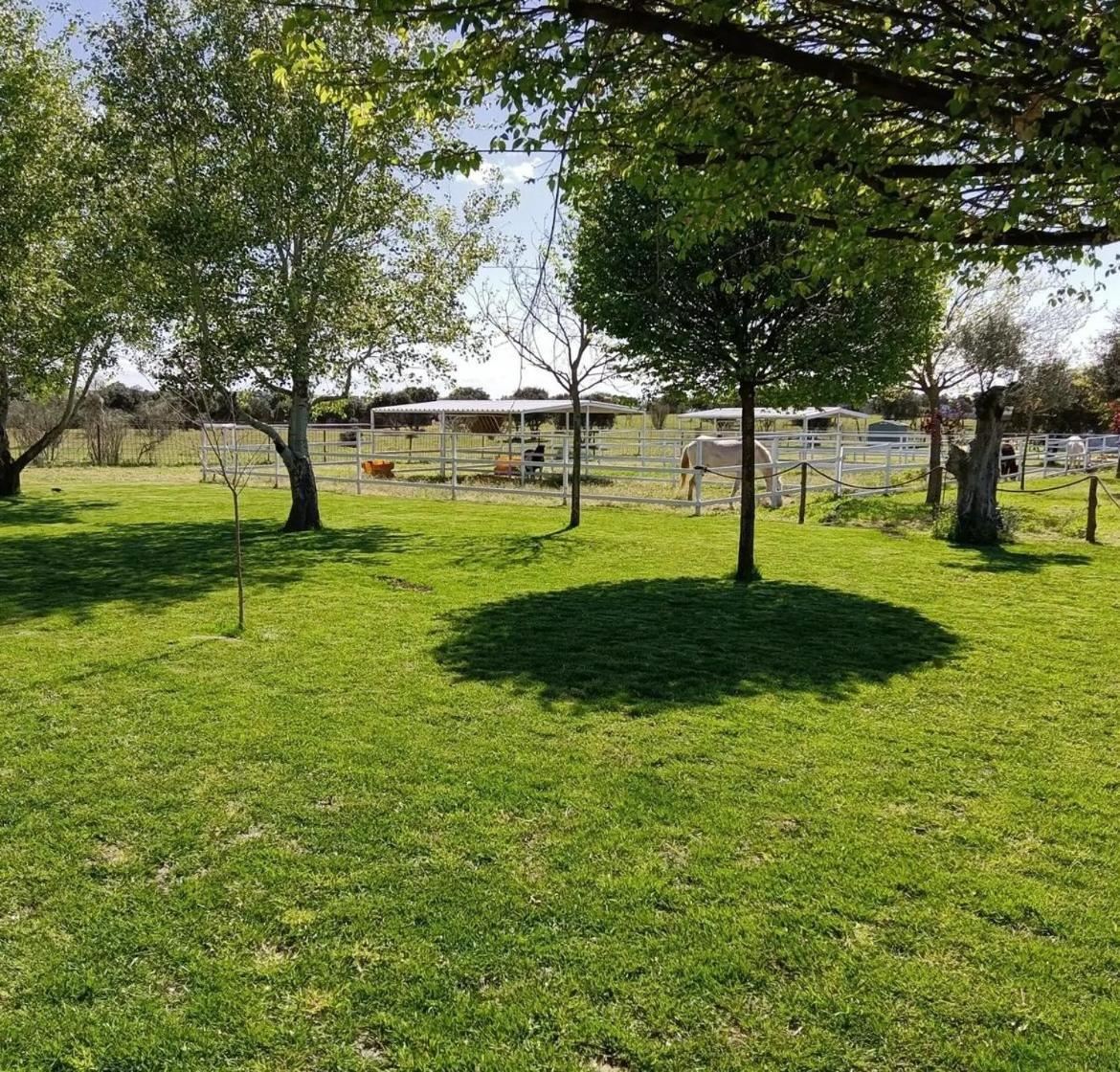Casa Rural Granja Abril Cardiel de los Montes Extérieur photo